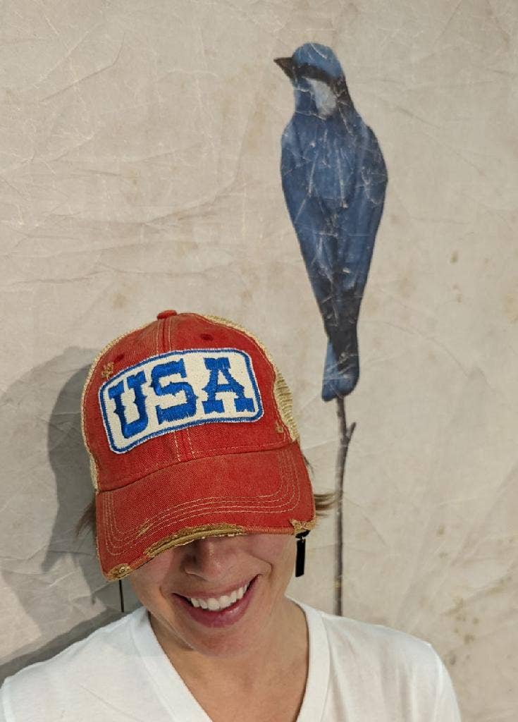 USA Themed Hat