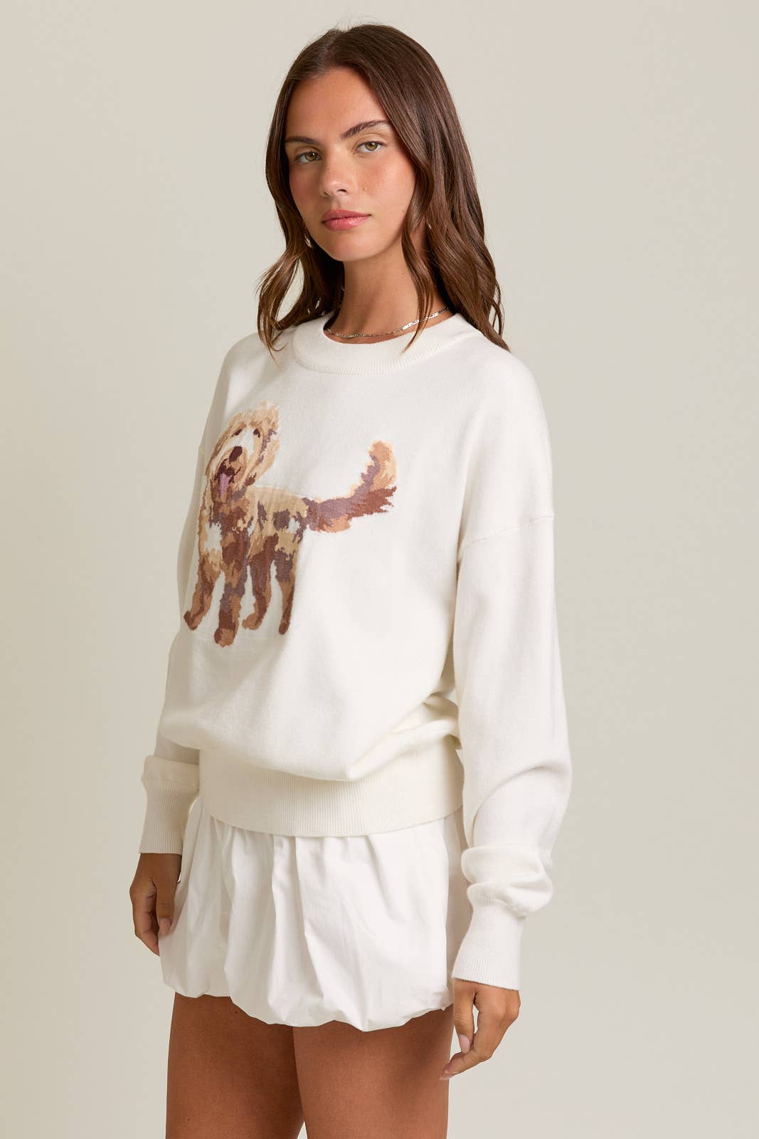 CREW NECK PUPPY GRAPHIC SWEATER