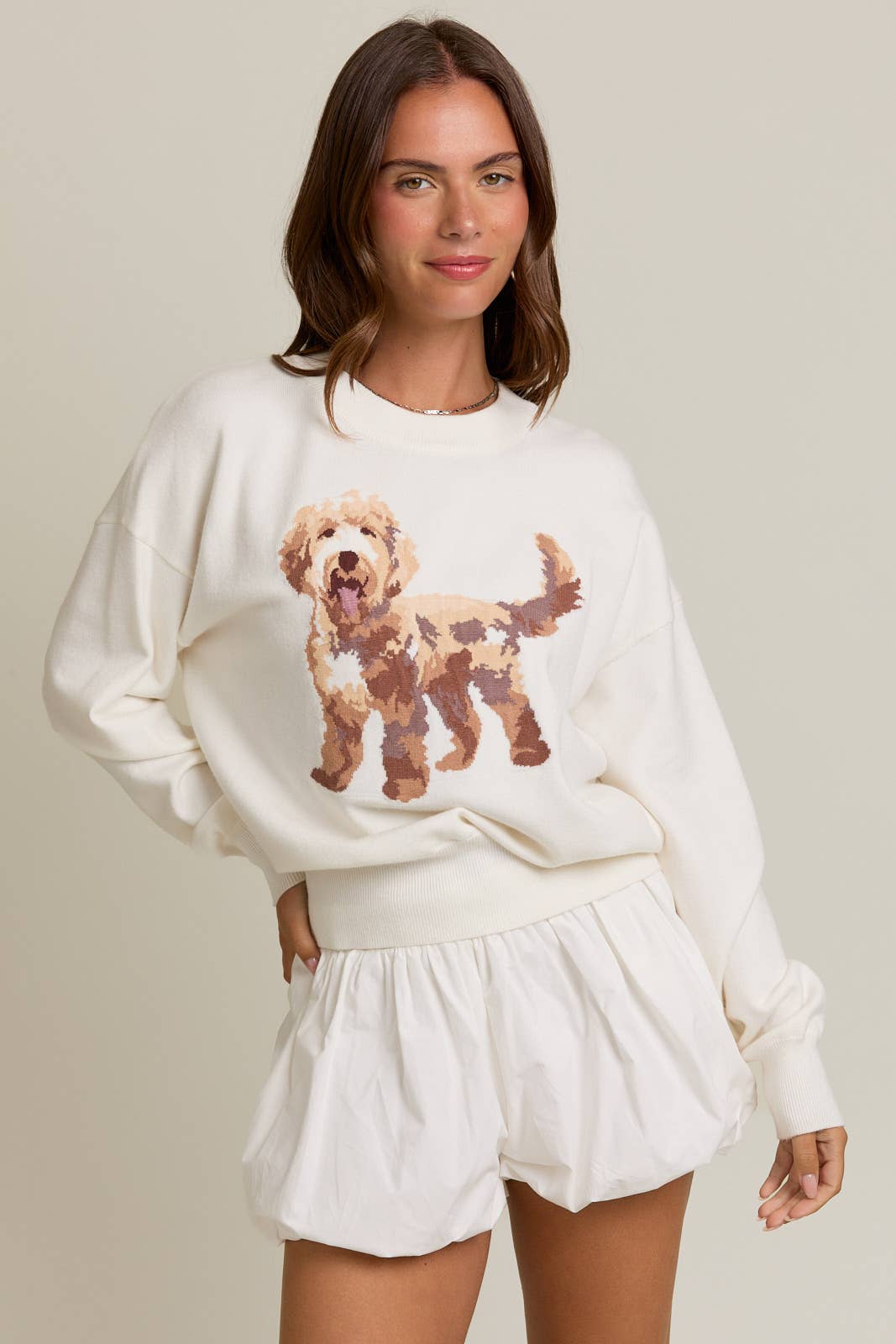 CREW NECK PUPPY GRAPHIC SWEATER